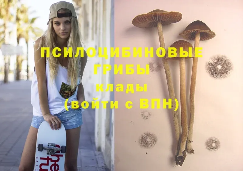 Псилоцибиновые грибы Magic Shrooms  Выборг 